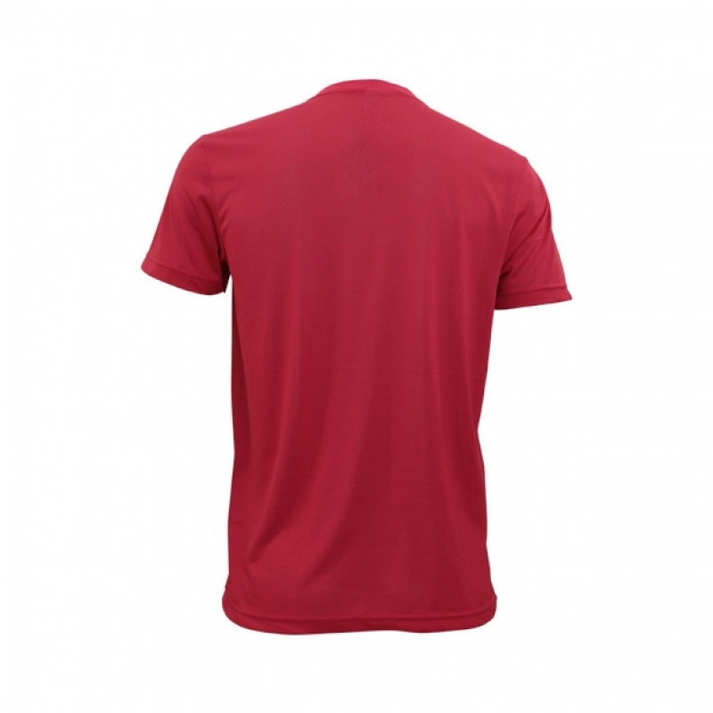 Camisetas de Corrida Masculinas Barreirinhas - Camiseta de Corrida Dry Fit Personalizada